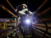 Derick Costa Jr., 10,  ties the spurs and tightens the chaps before his first ride at the final event in the New England Rodeo championship in Norton, MA.   PETER PEREIRA/THE STANDARD-TIMES/SCMG